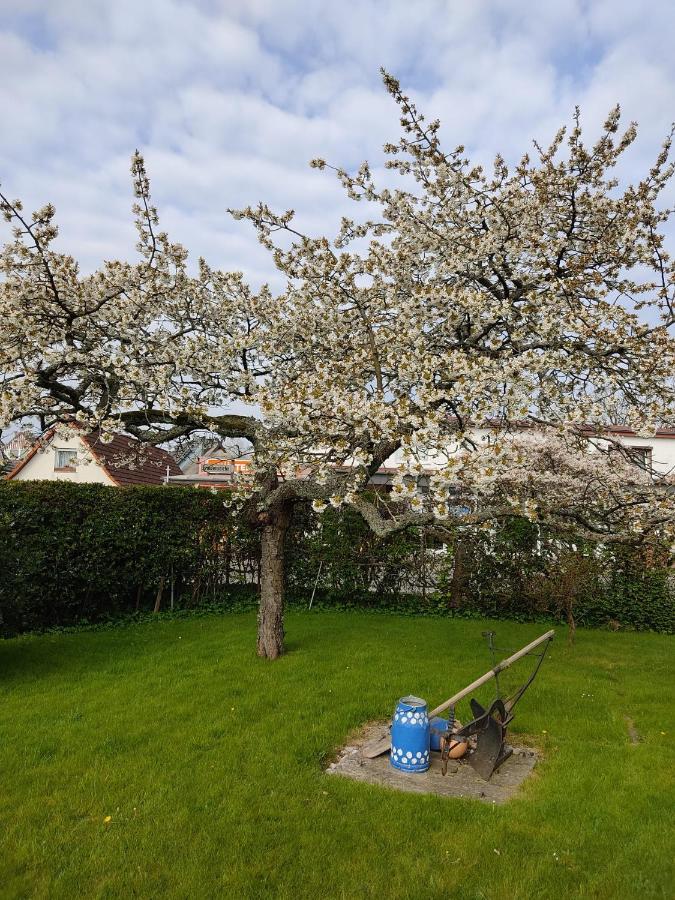 Ferienwohnung Ostseestrandlaeufer 2 Цингст Екстер'єр фото